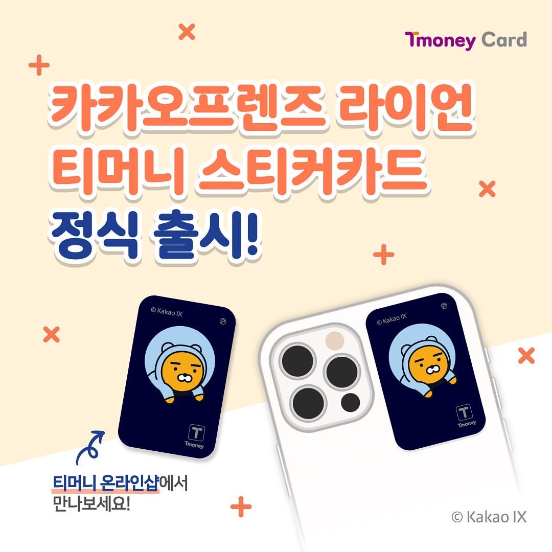 ラインフレンズ　ブラウン T-moneyカード 韓国交通カード ティーマネー ⑤